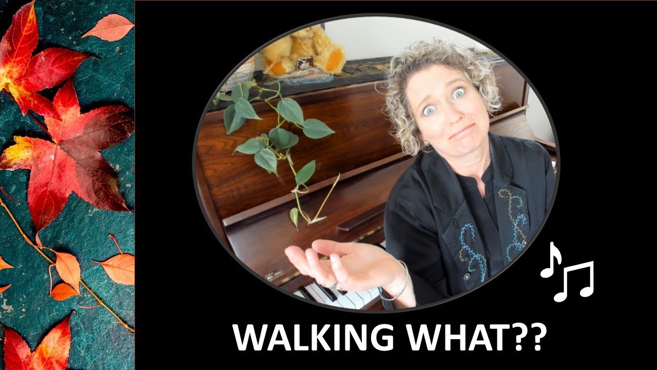 Funky walking BASS for Autumn Leaves (Circle of 5ths explained-easy piano lesson)