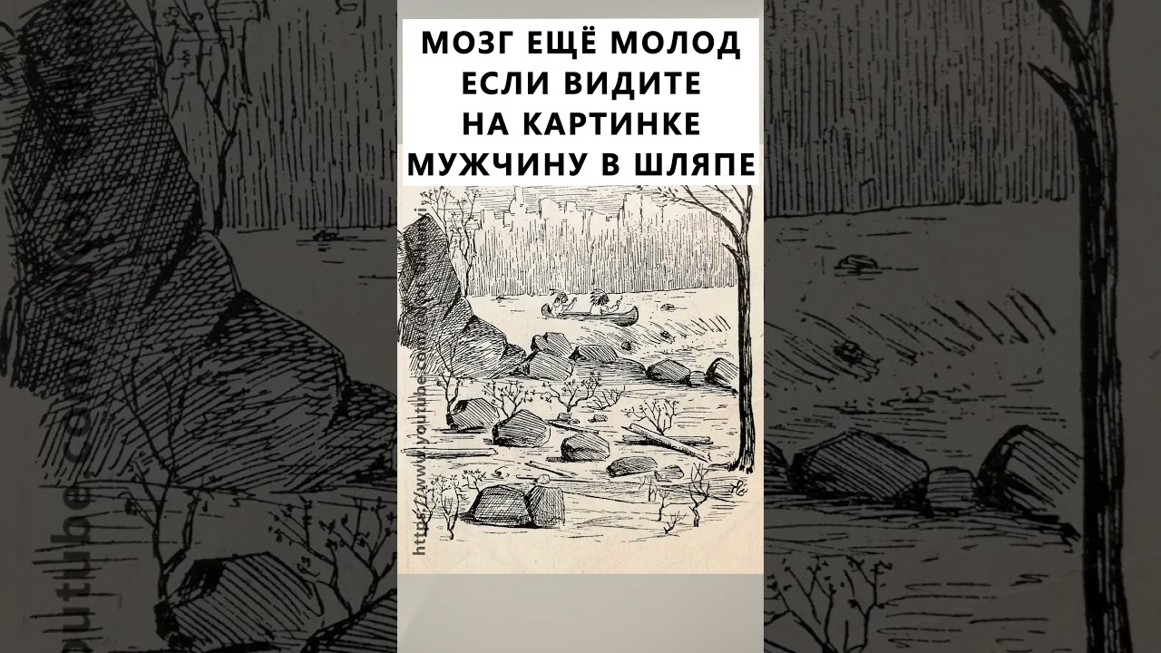 Найдёте на картинке мужчину? #тестнавнимательность #854