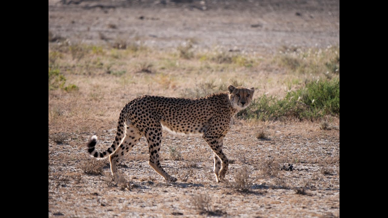 Süd Namibia 2024   Teil 4