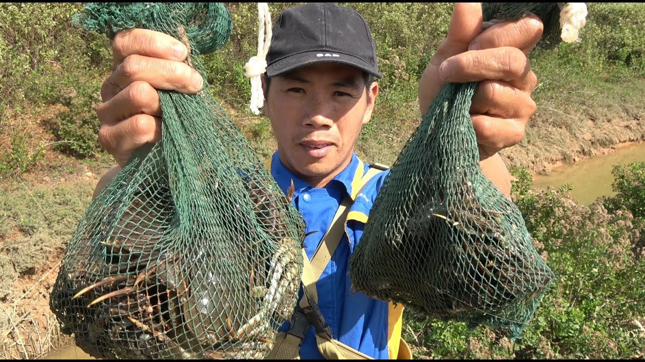 在河道下网抓上一堆可恶的清道夫，还收获不少大闸蟹，太爽了