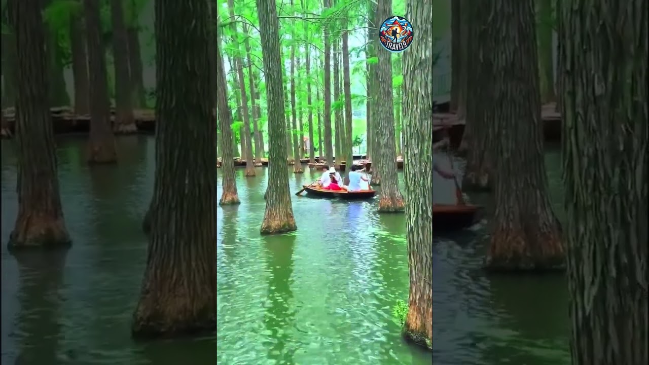 Travel9  such amazing sight to see....