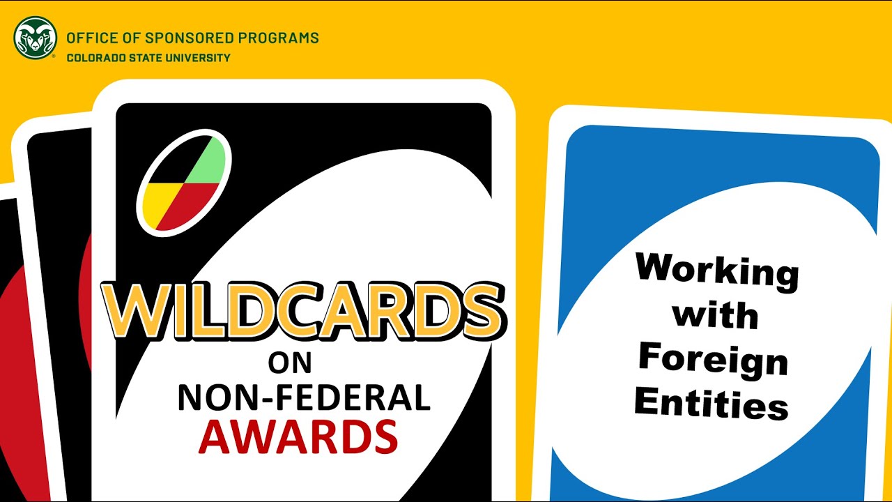 Wildcards on Non-Federal Awards: Foreign Entity Highlights