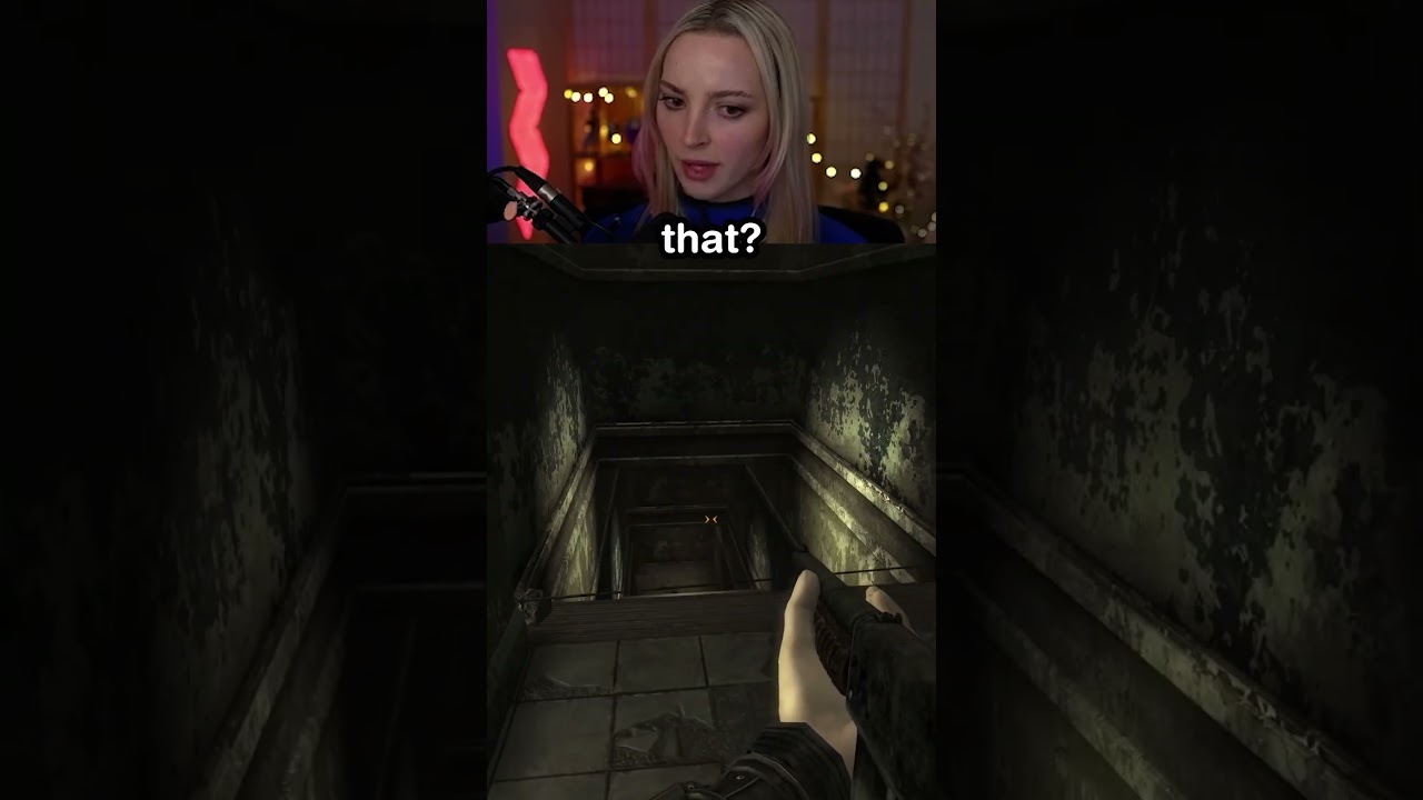 COMPANIONS in Fallout New Vegas 💀
