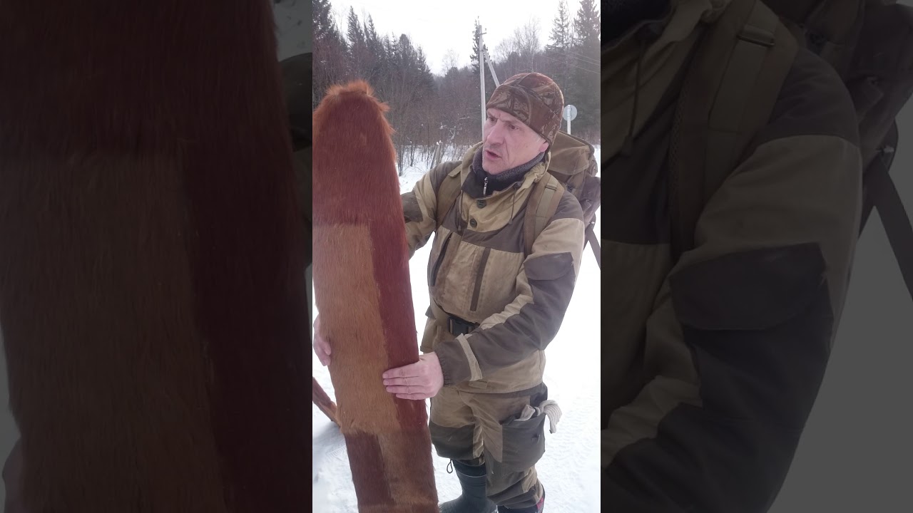 Лыжи Шатун камус1