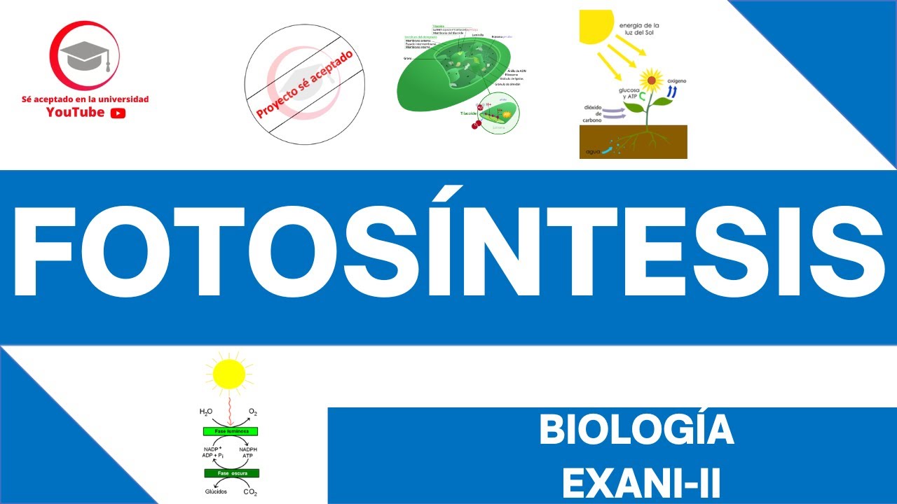 FOTOSÍNTESIS | BIOLOGÍA | EXANI-II 2024