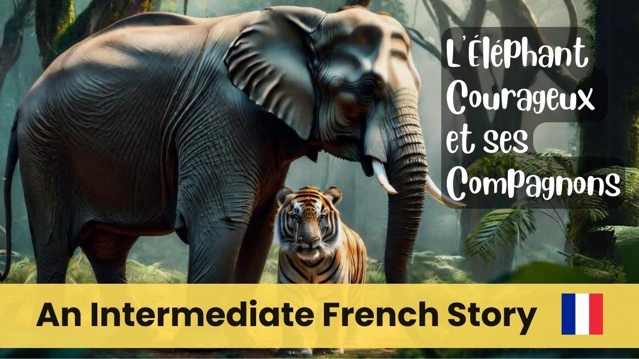 French Stories For Intermediate B1 Learners