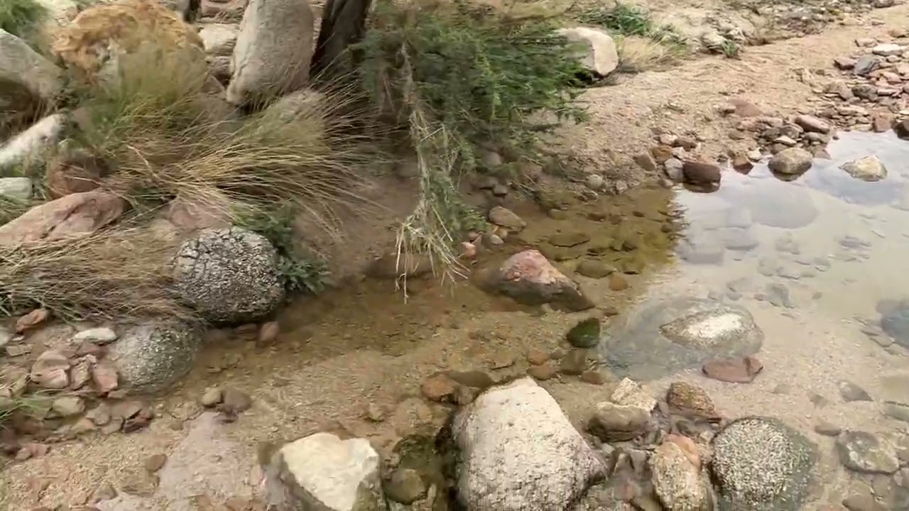 رحلة جبلة الدوادمي