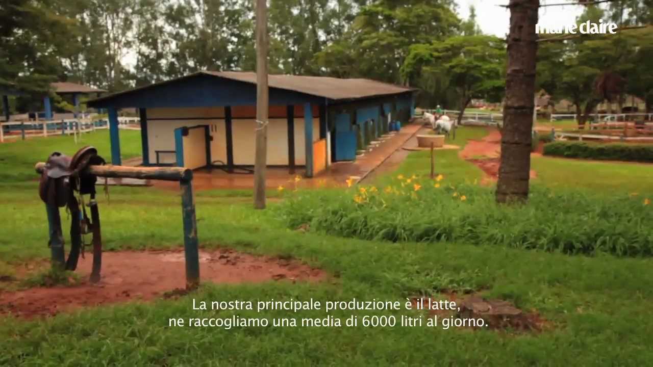 Speciale Brasile: la Fazenda Do Porto in Minas Gerais