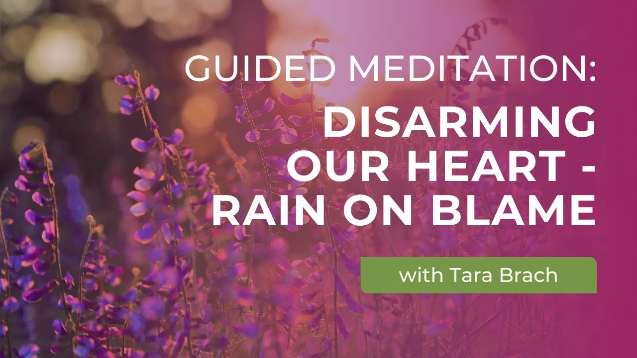 Guided Meditation: Disarming Our Heart - RAIN on Blame with Tara Brach