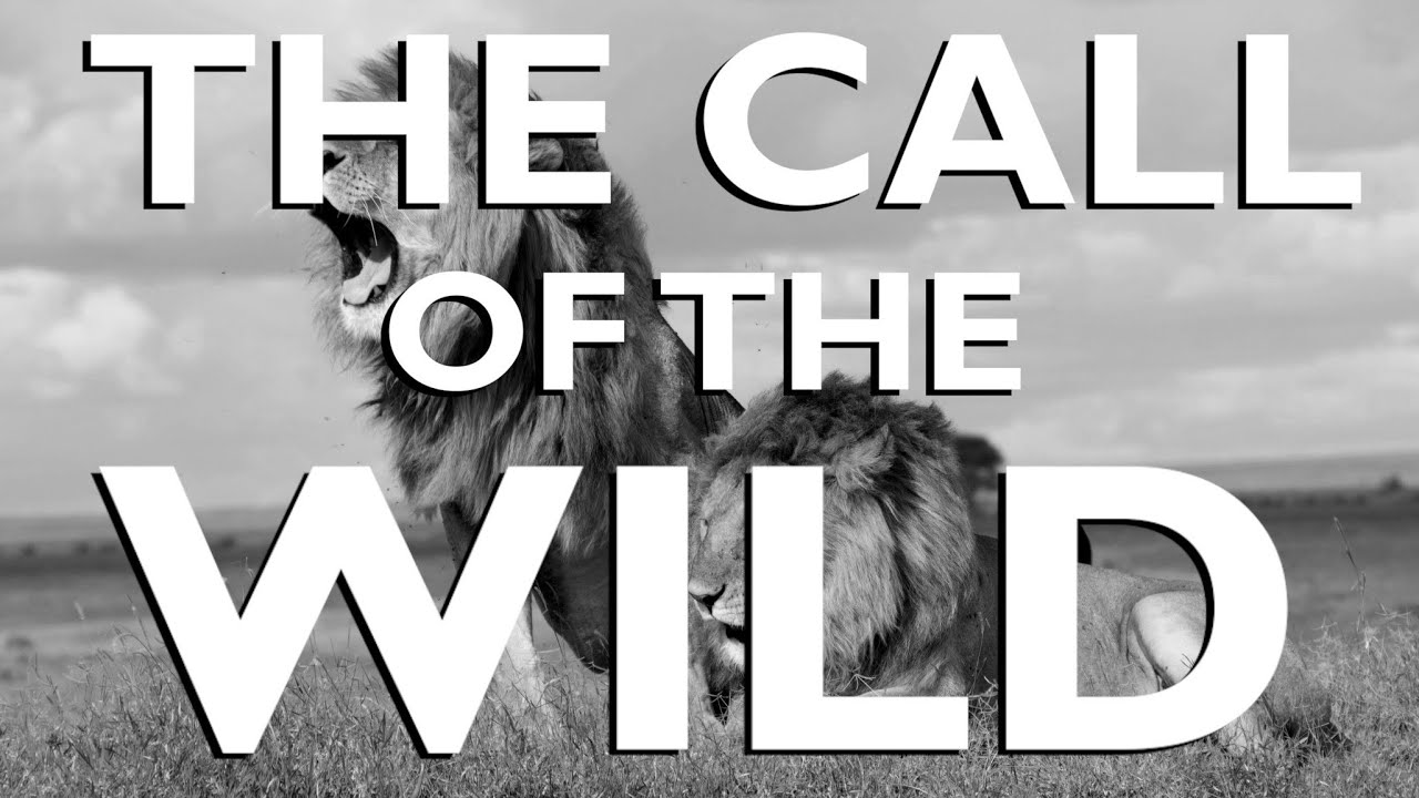 The Call of the Wild by Robert W. Service | Motivational Poem from BEST Motivation