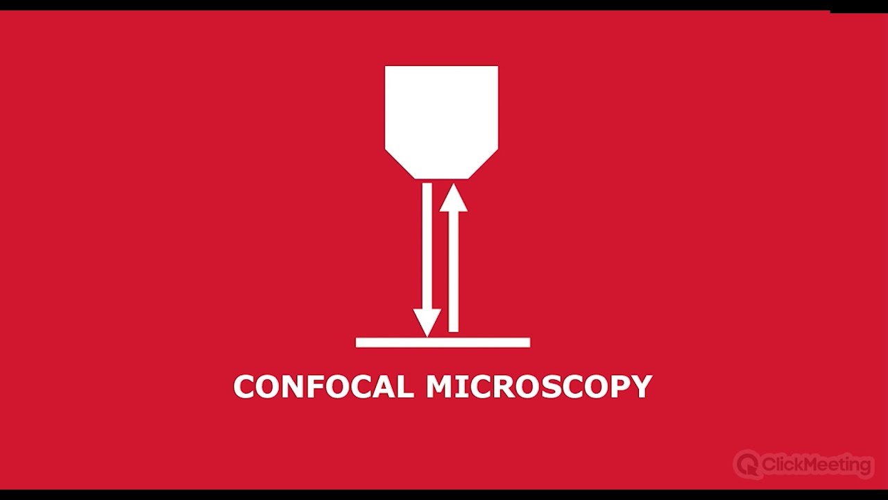 Raman and PL Microscopes of 2D Materials - Webinar Part 1