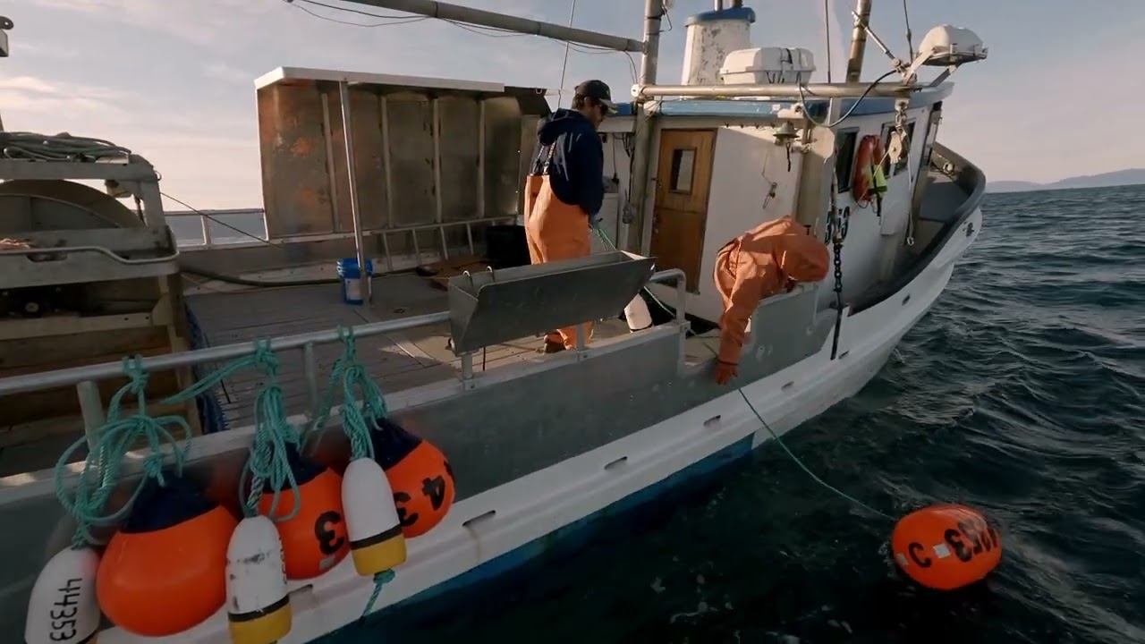 Halibut Fishing | Backlog Pt.1 (Oct 2024)