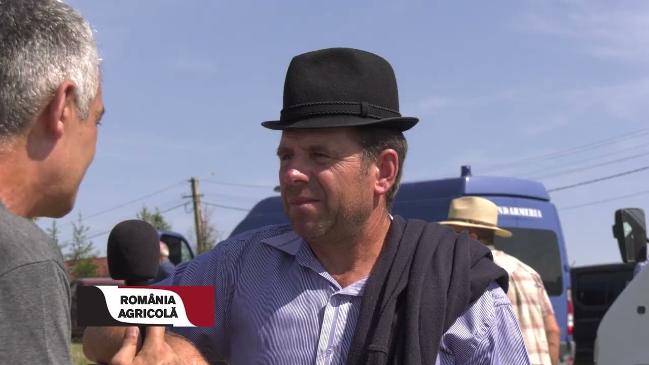 Cobor&acirc;tul oilor la Loman