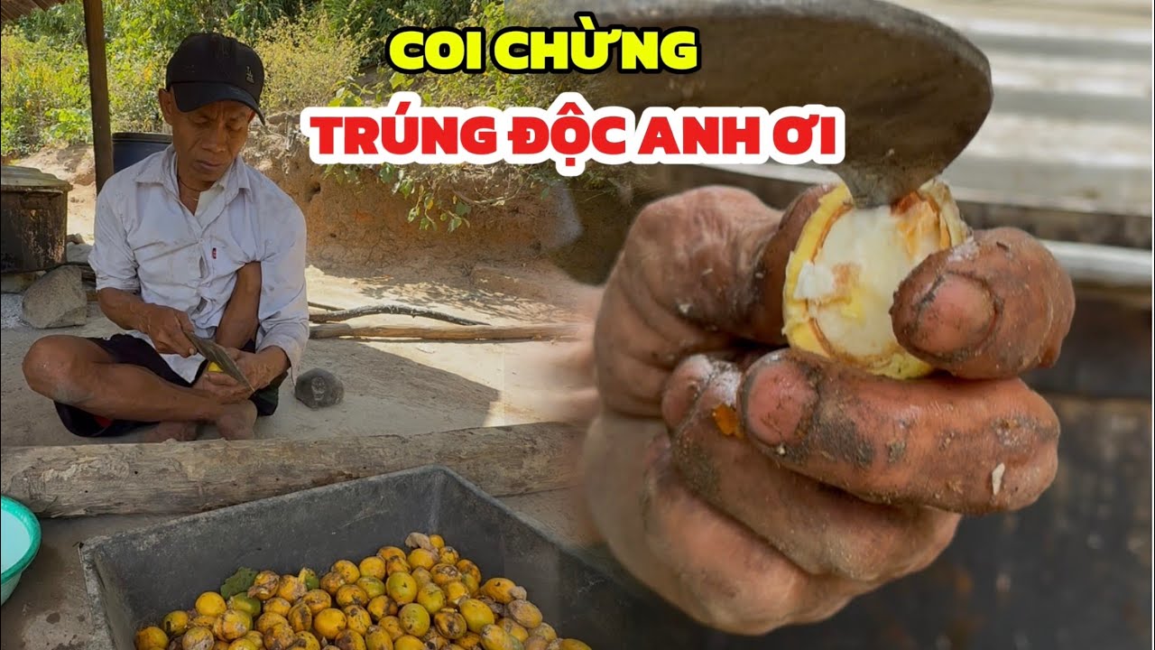 Món loại quả không biết nấu sẽ bị say, anh quyết định nấu món này nhưng ít ai dám ăn 