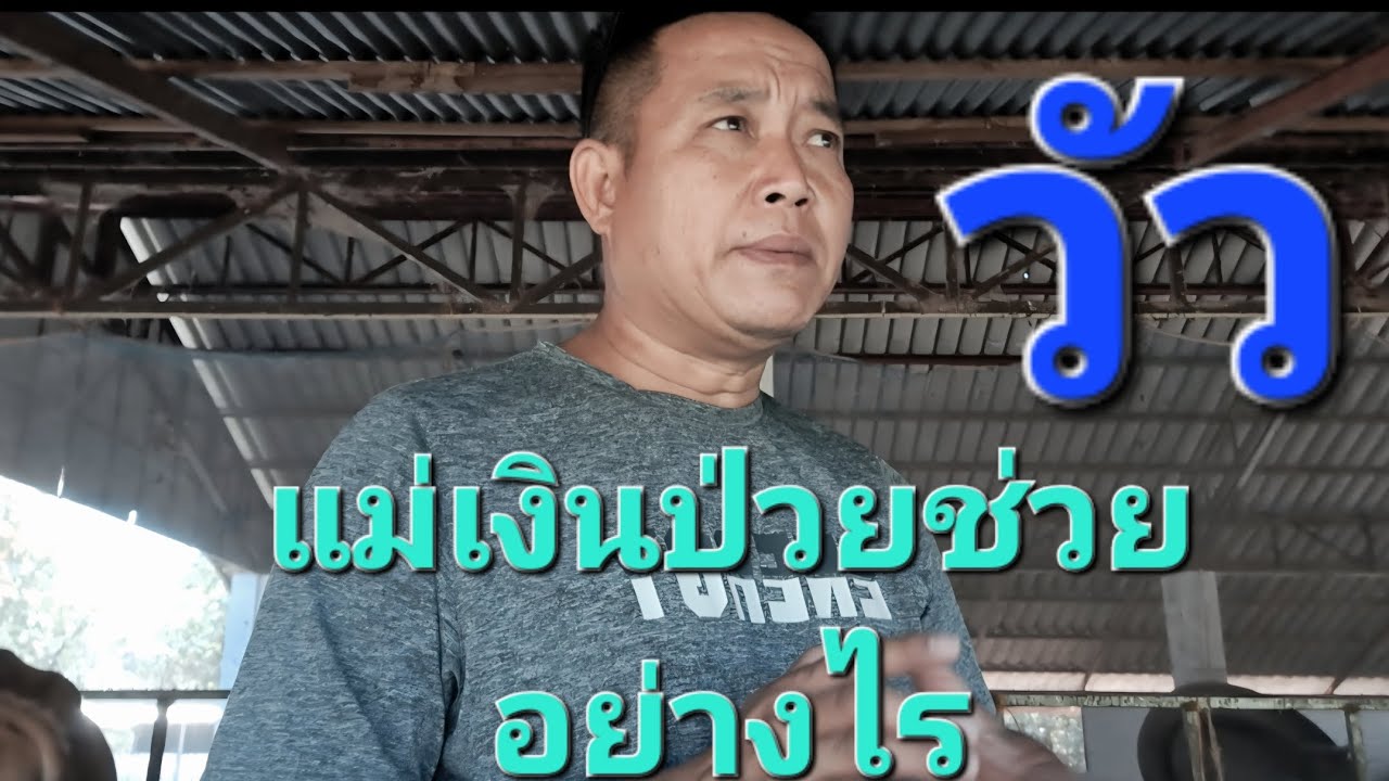 เกษตรผสมผสานกับการเลี้ยงโค