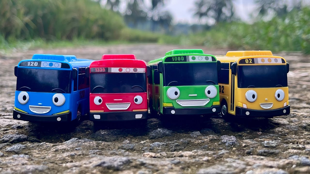 Mencari Mainan Tayo si Bus Kecil di Sawah - Tayo The Little Bus