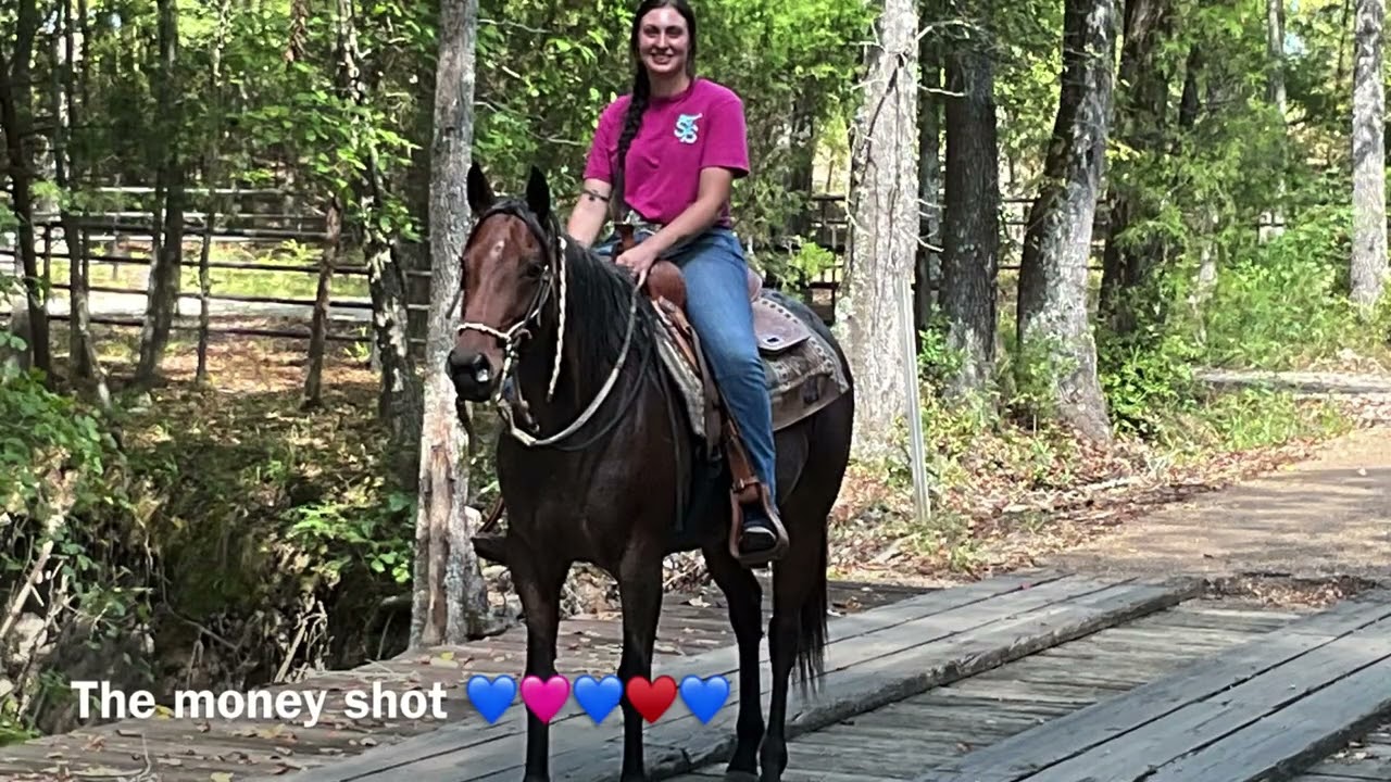 Theia   ✅💎 SOLD  🌹🥰 ,, Red Roan Mare Like No Other. For Any Rider