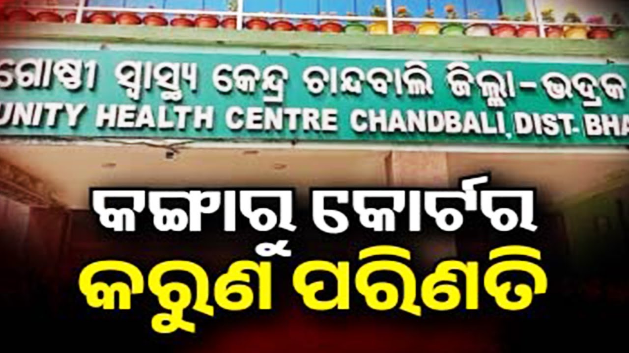 କଙ୍ଗାରୁ କୋର୍ଟର କରୁଣ ପରିଣତି | Kalinga TV