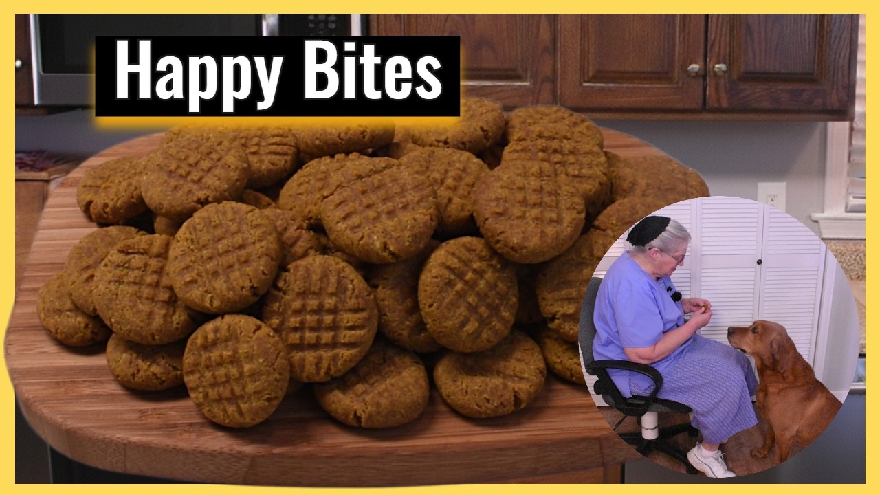Homemade Pumpkin Peanut Butter Dog Treats, Inspirational Thoughts