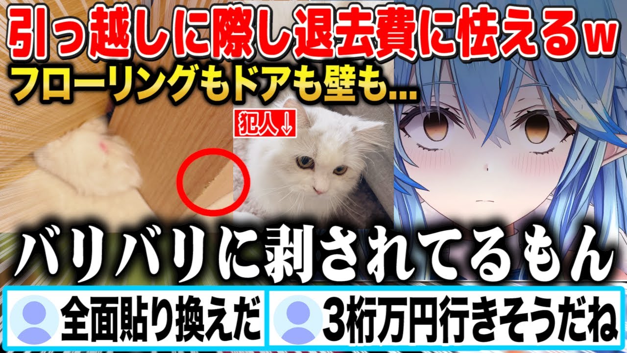 引っ越しが決定したが愛猫によってガリガリにされた賃貸の退去費に怯える雪花ラミィｗ【切り抜き/ホロライブ】