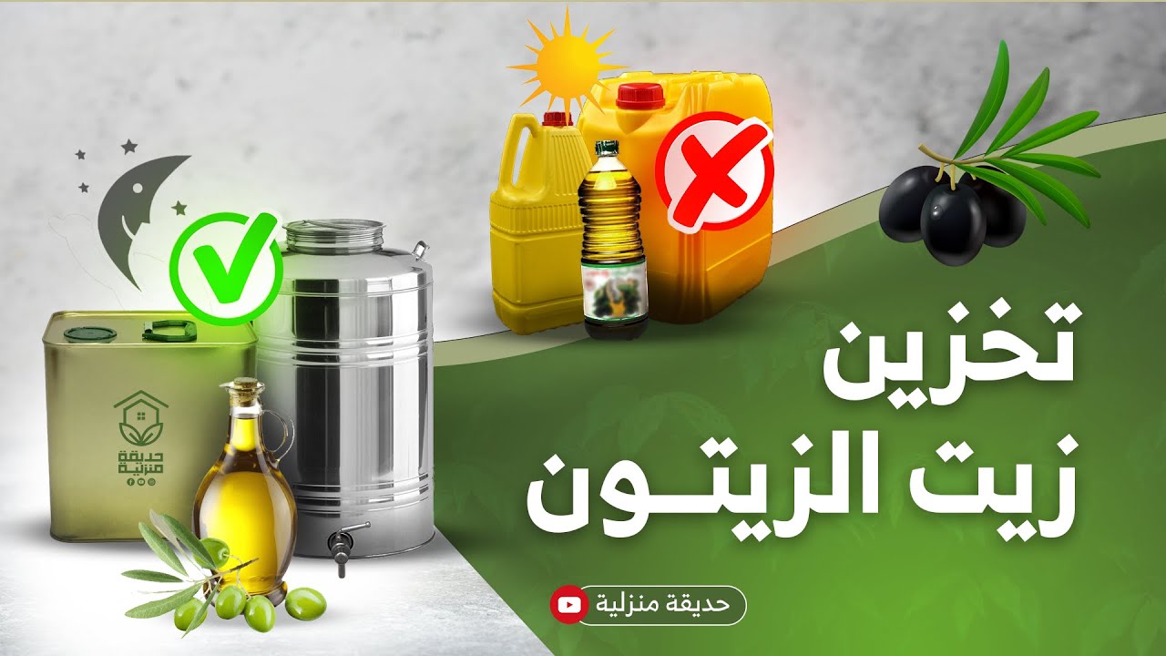 الطريقة الصحيحة لحفظ وتخزين زيت الزيتون للحفاظ على جودته