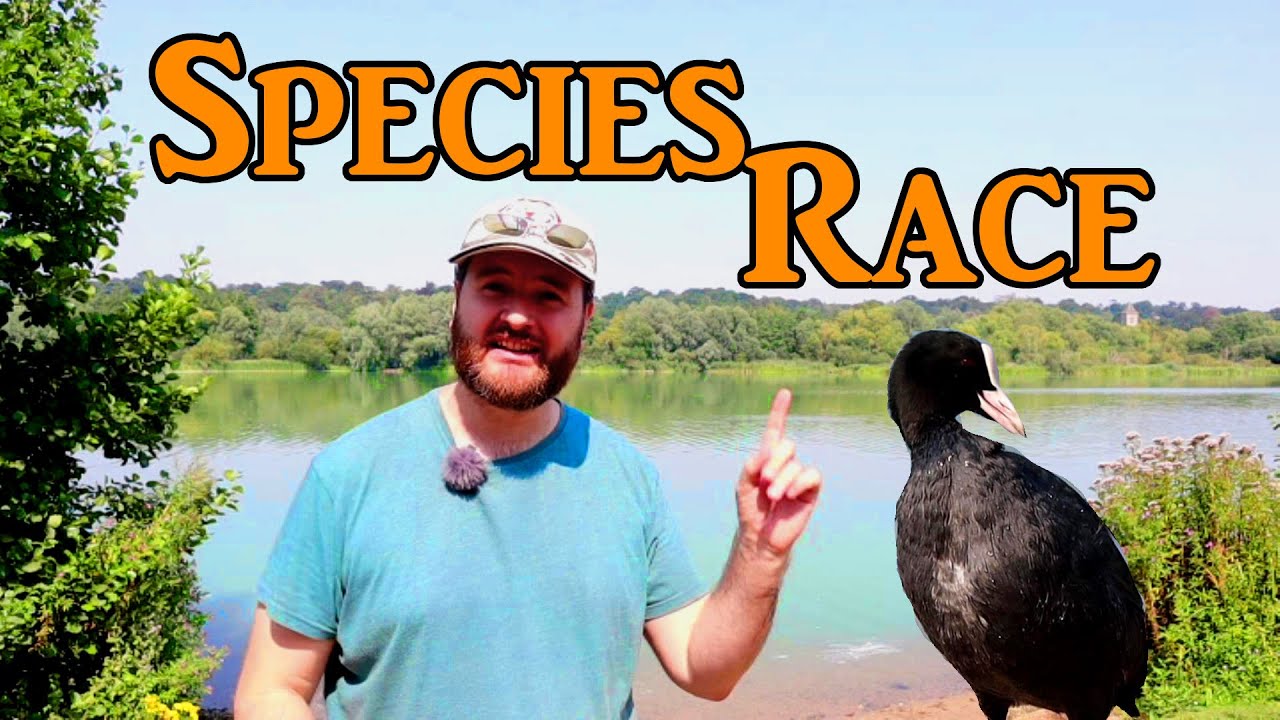 Two Hour Wildlife #SpeciesRace Challenge! Whitlingham Lake