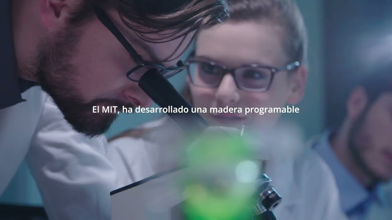 Madera sin límites