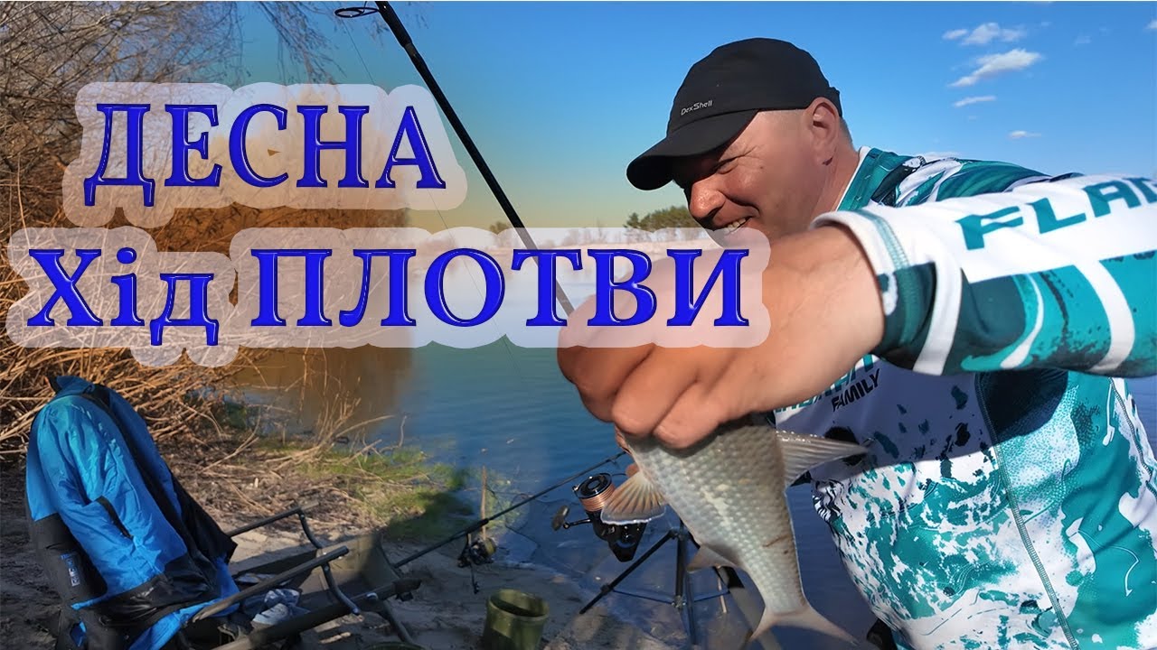 Десна. То то вже хід плотви так точно. Ловля плотви на фідер весною #рибалка #fishing #фідер