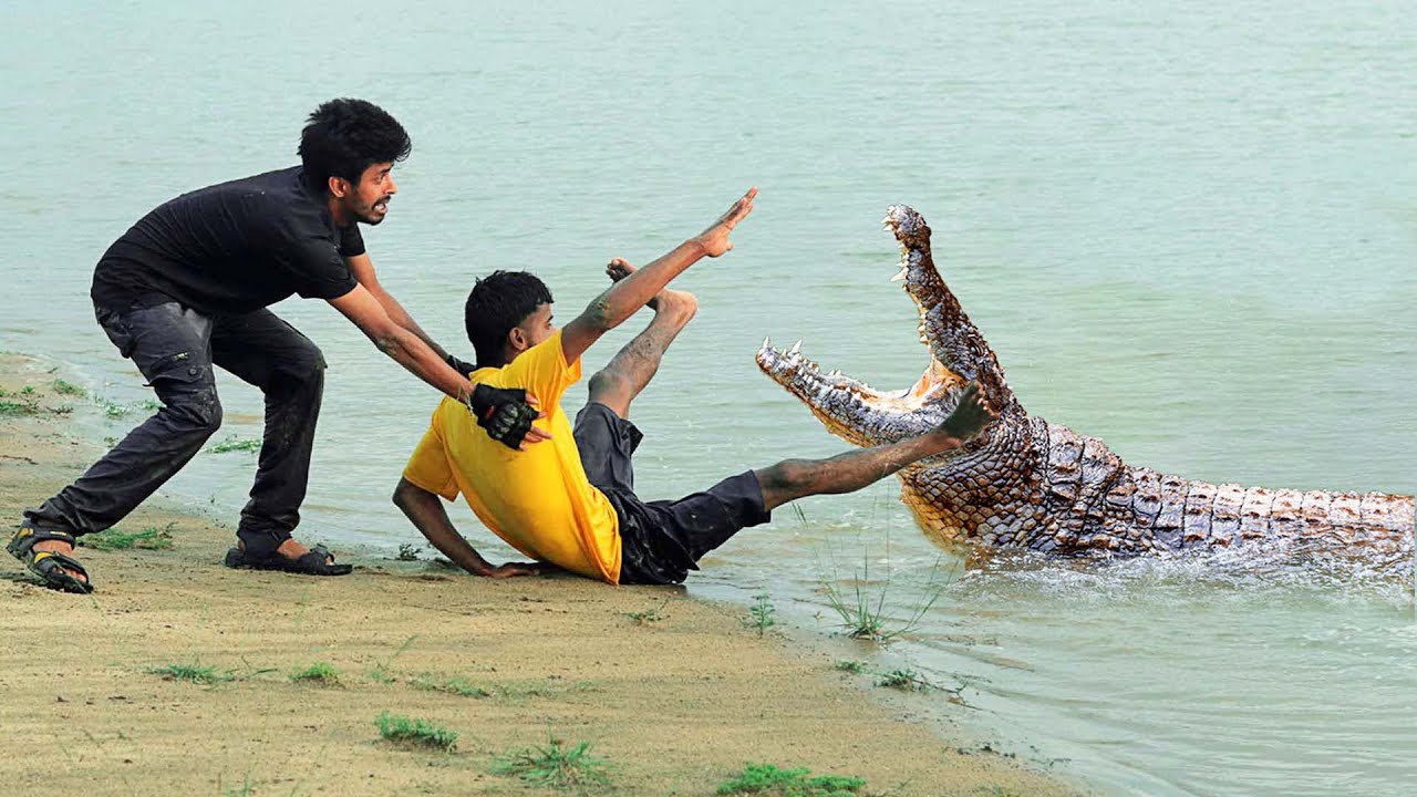 Crocodile Attack | crocodile attack man in river movie scene