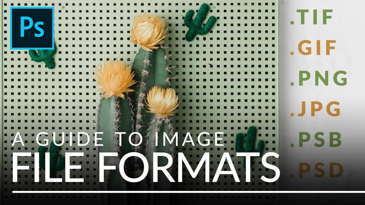 Форматы файлов в Photoshop: объяснение (TIFF, GIF, PSB и другие)