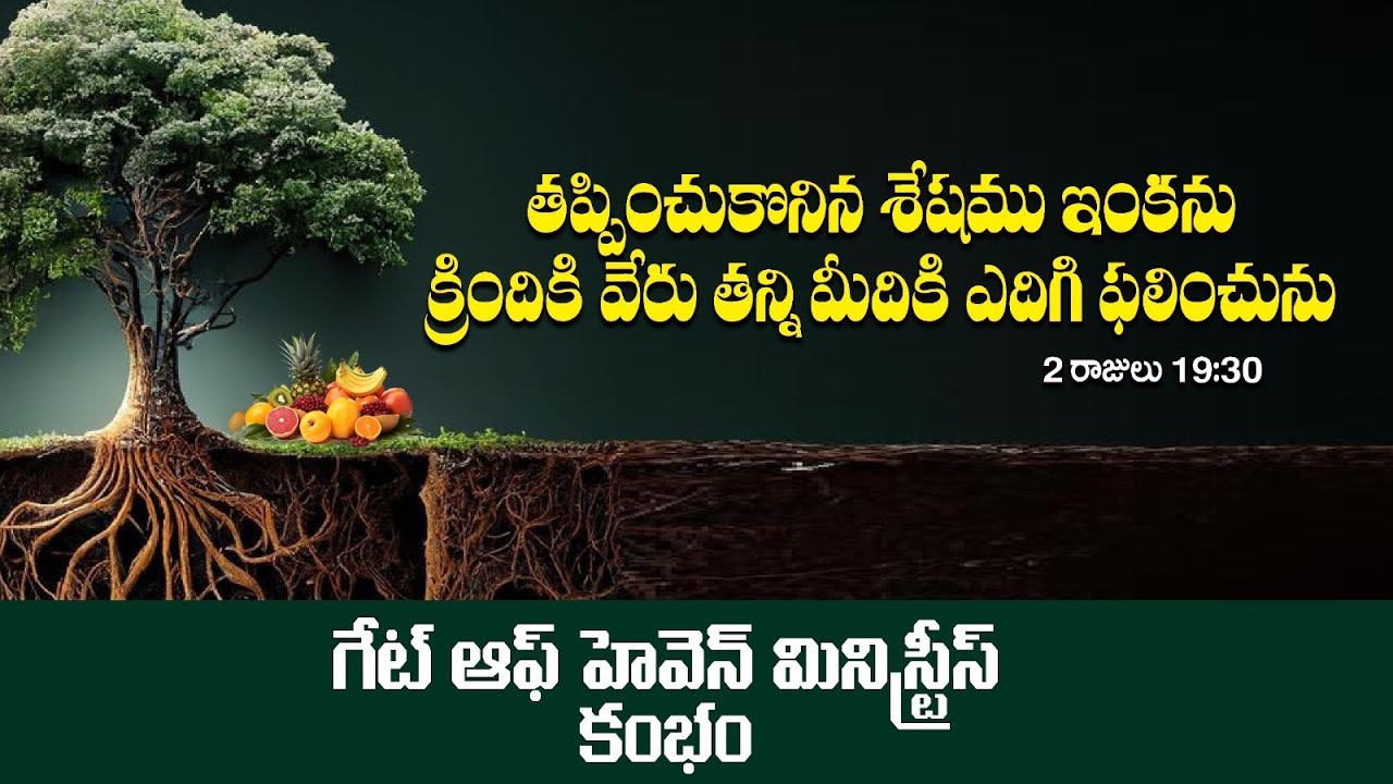 క్రీస్తులో వేరుపారి(root first)