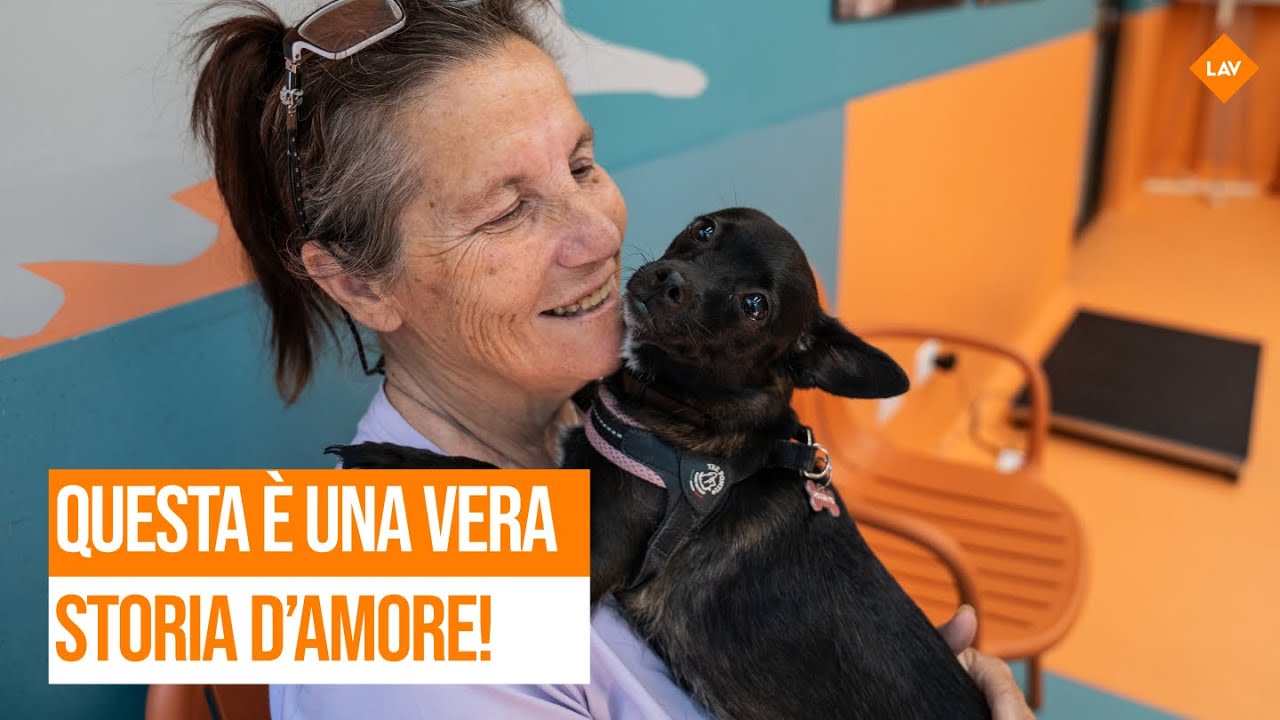 EPISODIO 2: Quattro animali e un solo cuore! La sfida di Carmela