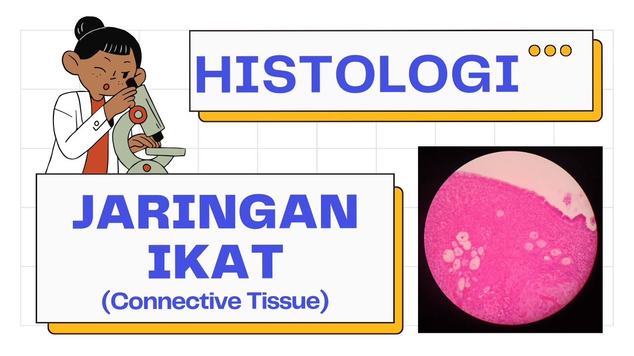 Histologi Jaringan Ikat (embrionik, padat, longgar, dan khusus) | Histology 101