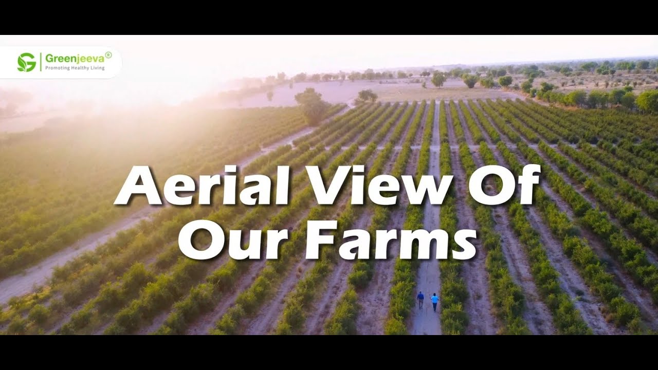 From the Sky: A Journey Through Our Organic Farms | Green Jeeva