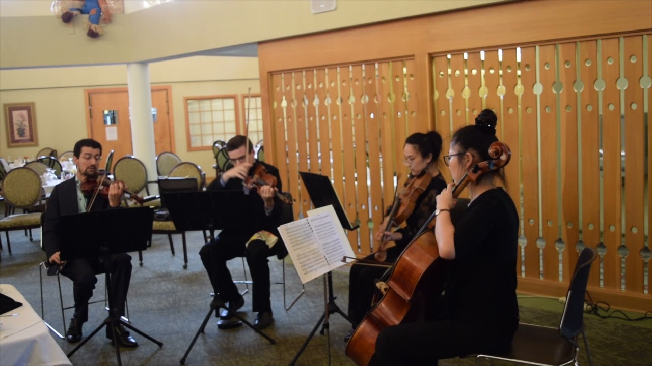 String Quartet - OPERA - demo video
