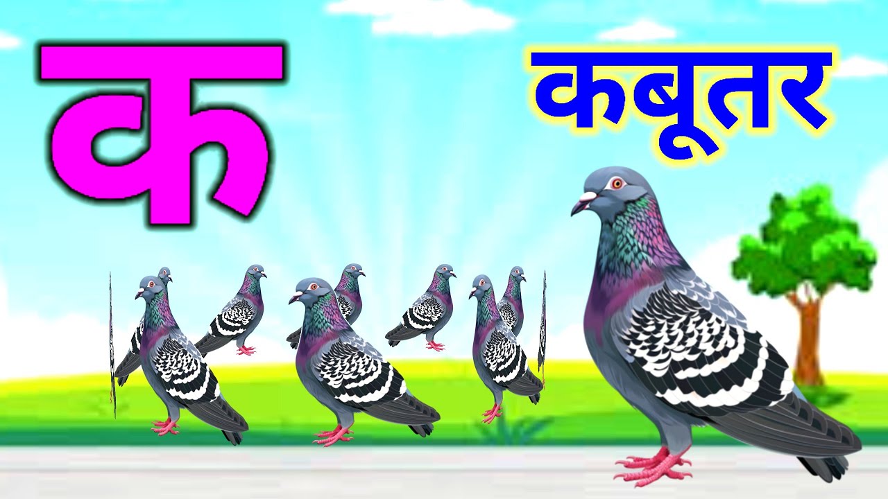 K se kabutar - k se kabutar kh se khargosh - a se anar, aa se aam | abcd, for kids 