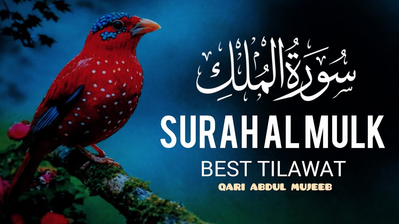 The Most Blessed Night Routine: Surah Mulk Full