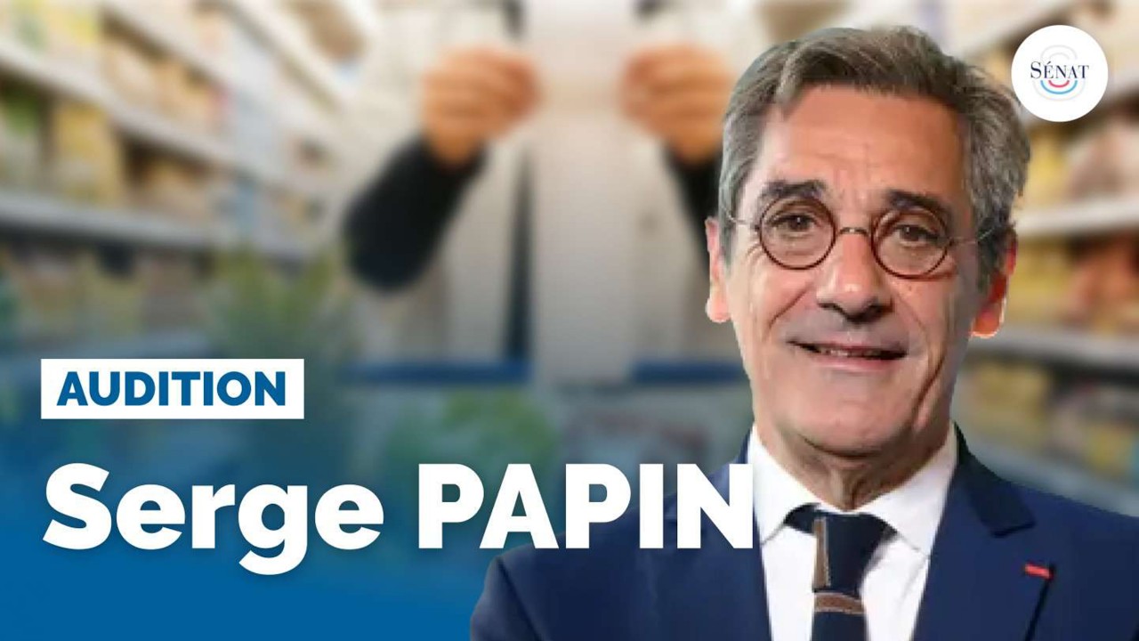 Marges de la grande distribution : audition de Serge Papin