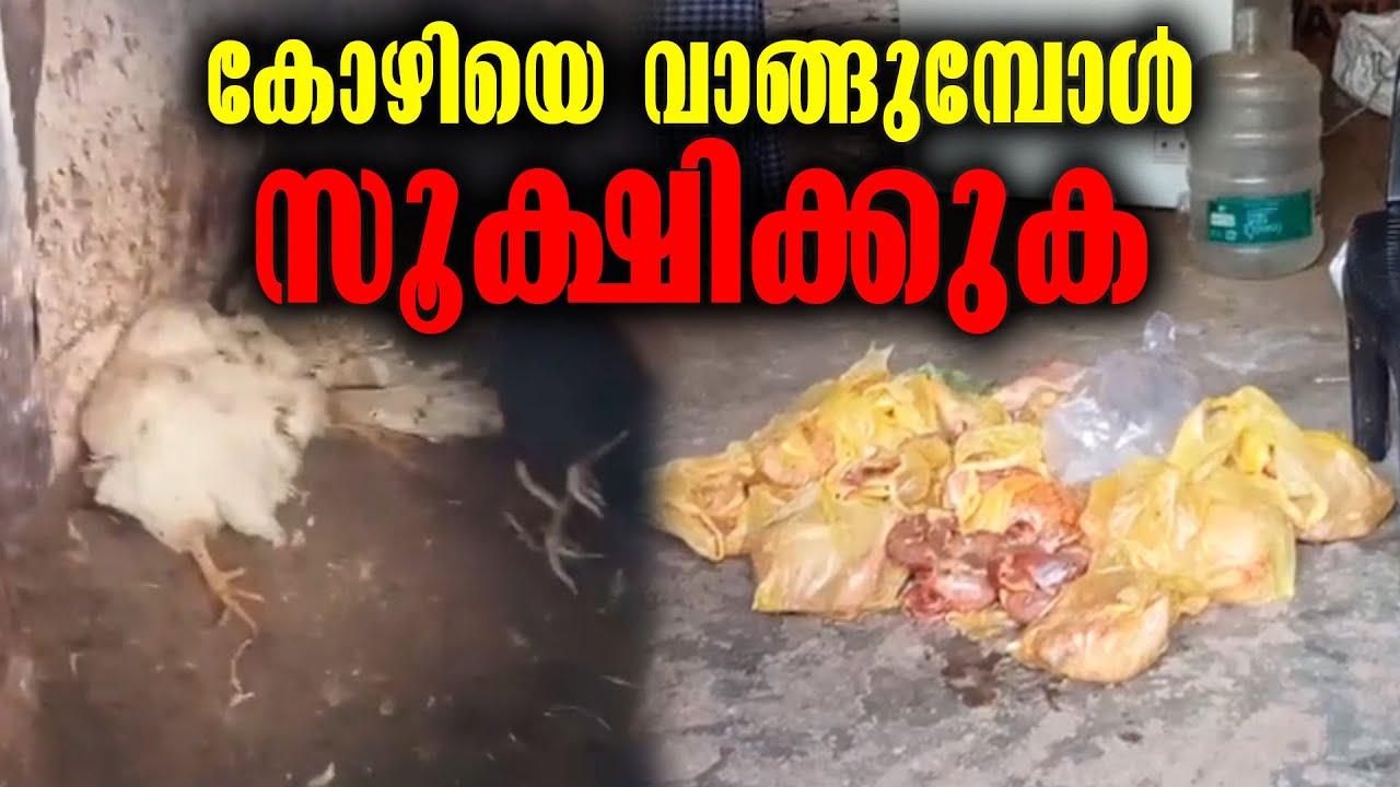 Kottarakkara Kunnicode | കോഴിയെ വാങ്ങുമ്പോൾ സൂക്ഷിക്കുക | Latest News From Kunnicode Kollam