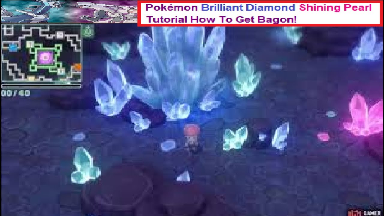 Pokémon Brilliant Diamond Shining Pearl Tutorial How To Get Bagon!