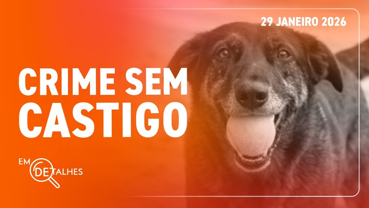 EM DETALHES - 29/01/26 - O CASO DO CÃO ORELHA E A PERCEPÇÃO DE UMA JUSTIÇA SELETIVA NO BRASIL