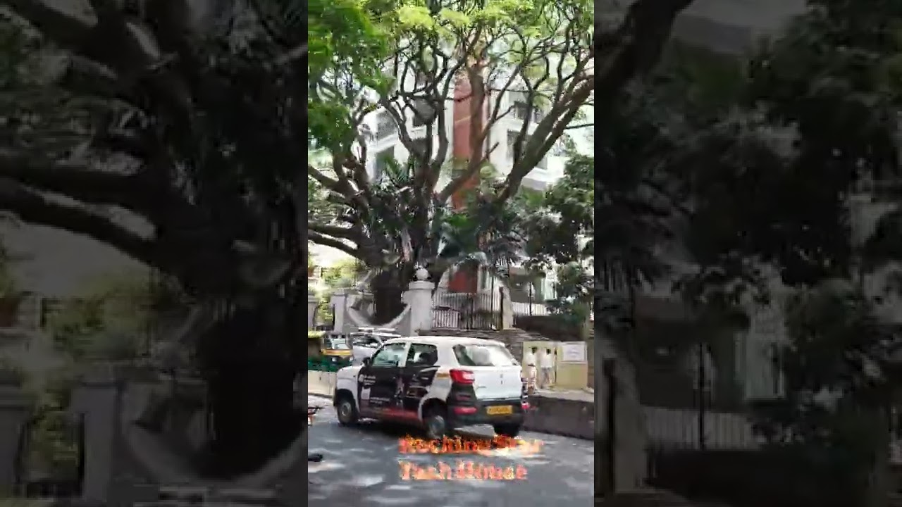 Rocking Star Yash's Home - KGF Actor - Bangalore #yash #kgf2