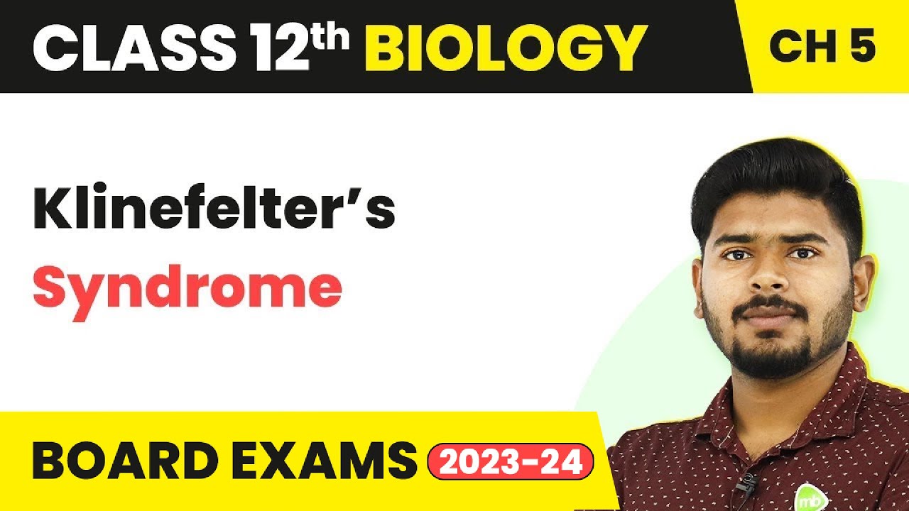 Klinefelter’s Syndrome - Principles of Inheritance and Variation | Class 12 Biology (2022-23)