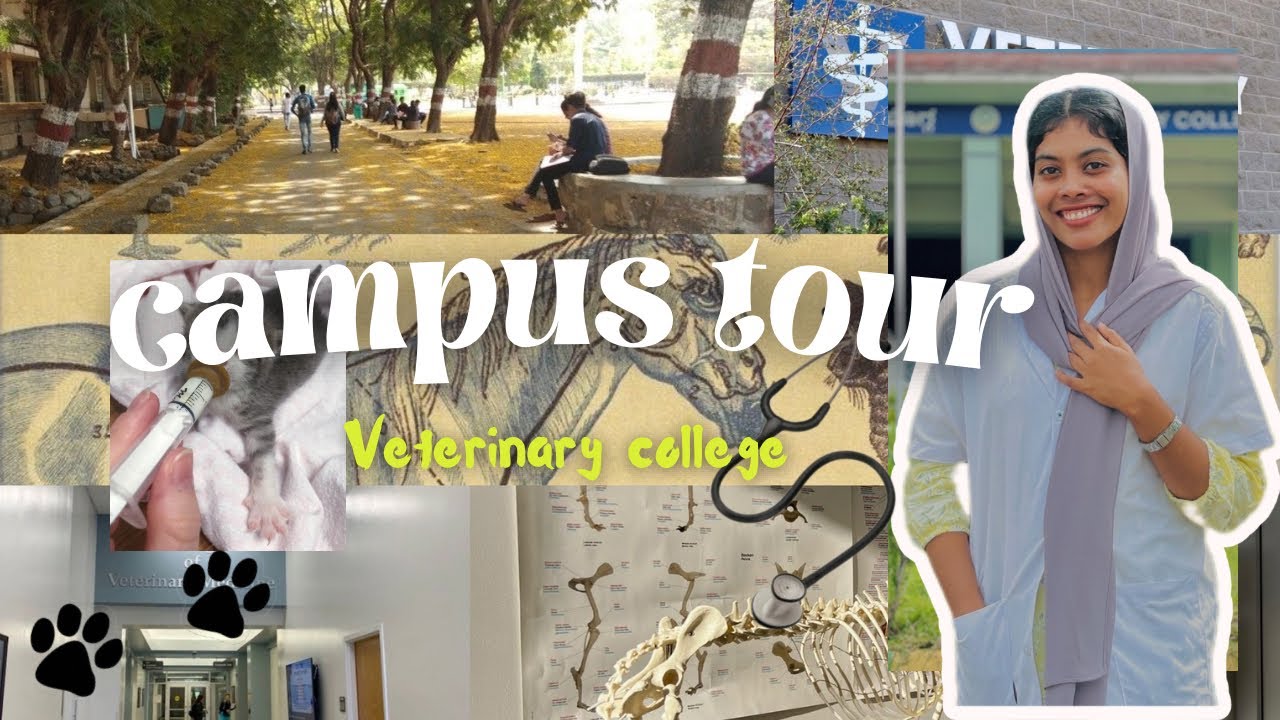 A Day Inside My Veterinary College Campus 🐄🏥 | Full Campus Tour/veterinary college shimoga