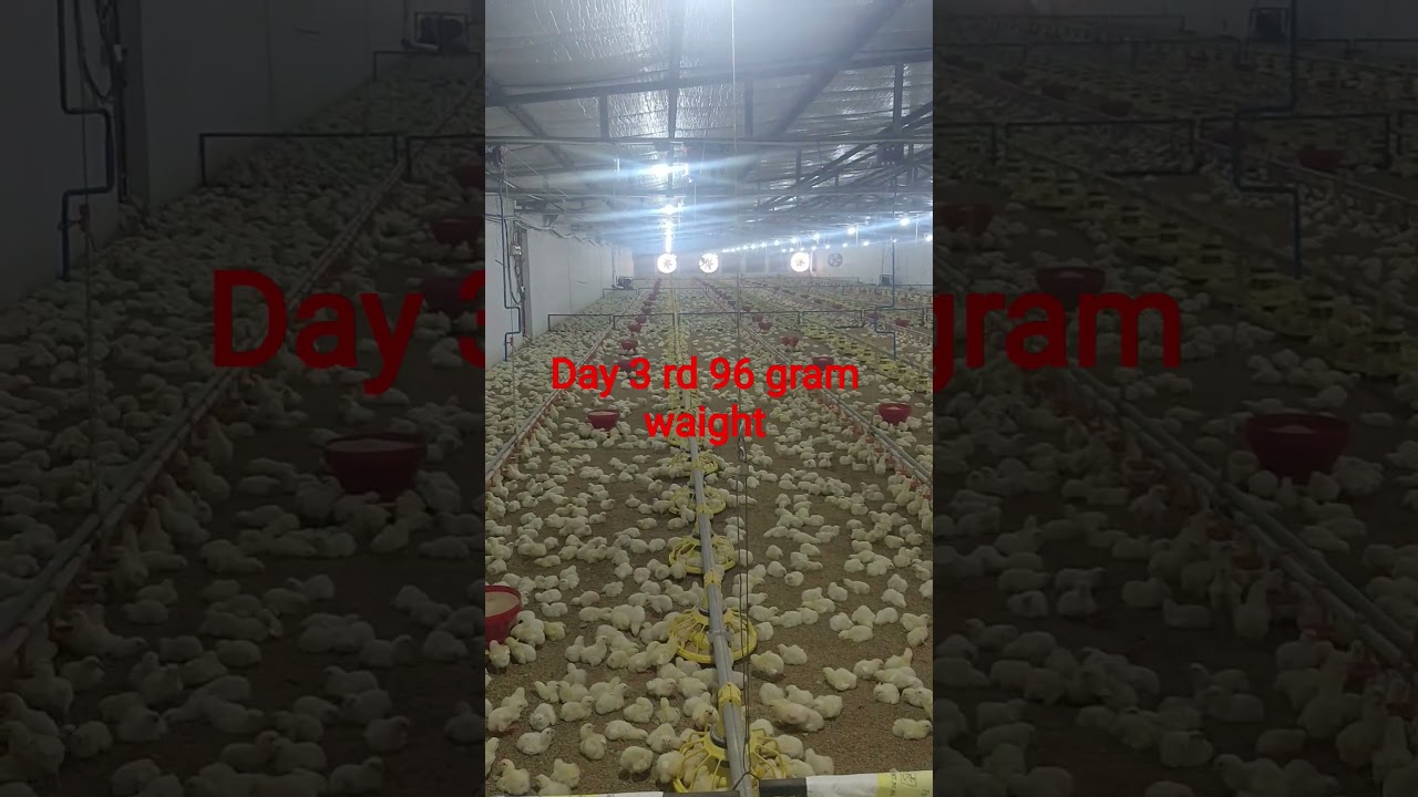 #farming