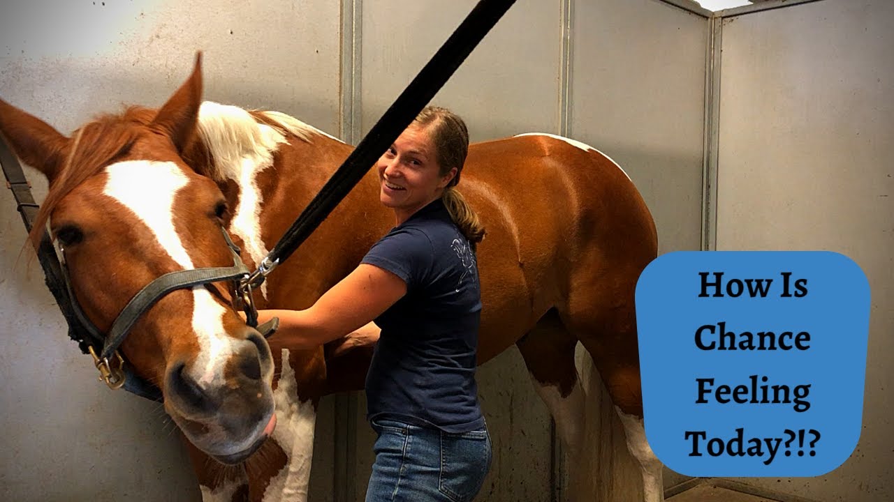 TMJ and Shoulder Movement With 5 Year Old Chance!