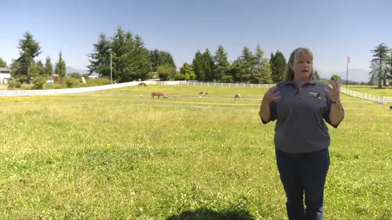 Pasture Management for Pacific Northwest Horse Owners