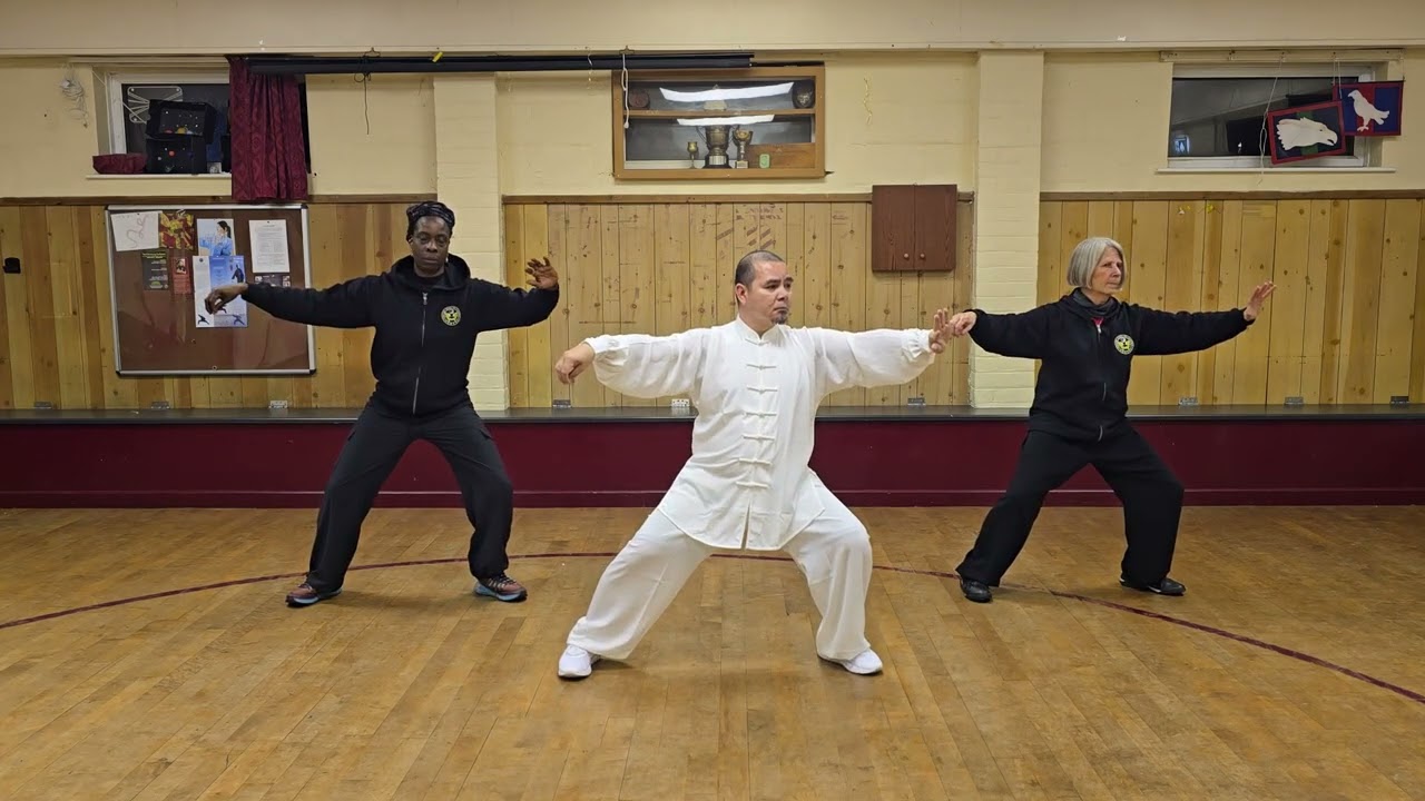 Chen Tai Chi Beginners 11 Form (TCKFC)