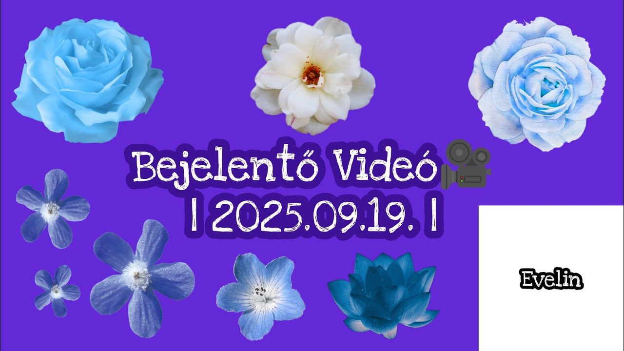 Bejelentő Videó🎥 | 2025.09.19. | Evelin