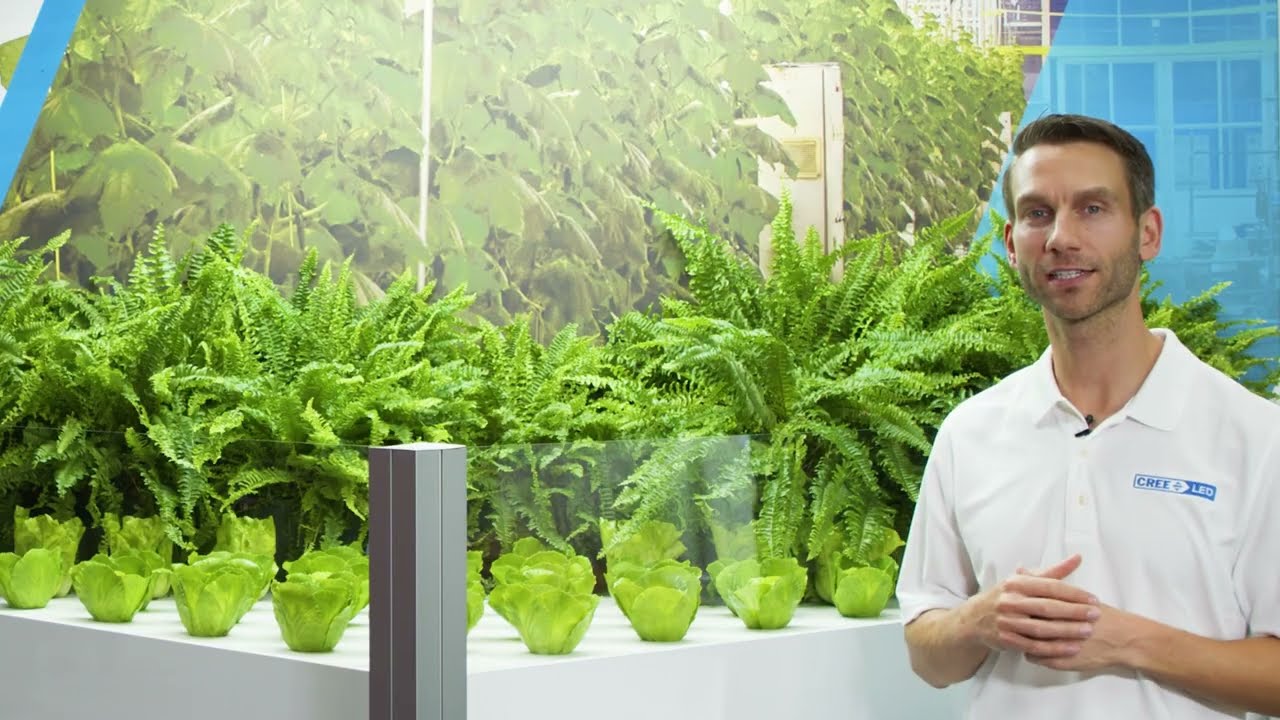 Photophyll&trade; Select Horticulture Color Demo